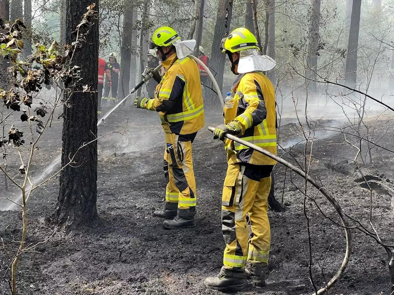 Polizei: Kinder sollen in Potsdam Waldbrand entfacht haben