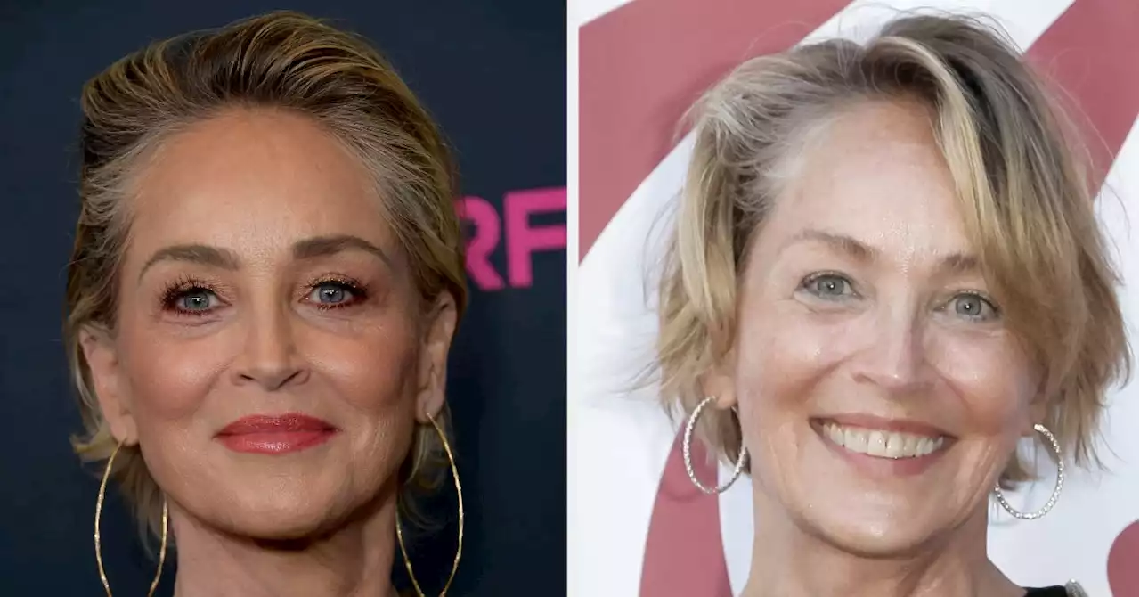 Sharon Stone Says She Stopped Getting Roles For 20 Years After Having A Stroke