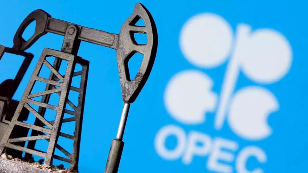 OPEC+ meets to debate production quotas, new cut - sources