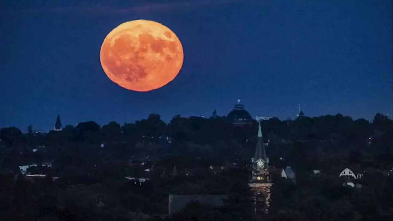 'Erdbeermond' leuchtet über Berlin und Brandenburg