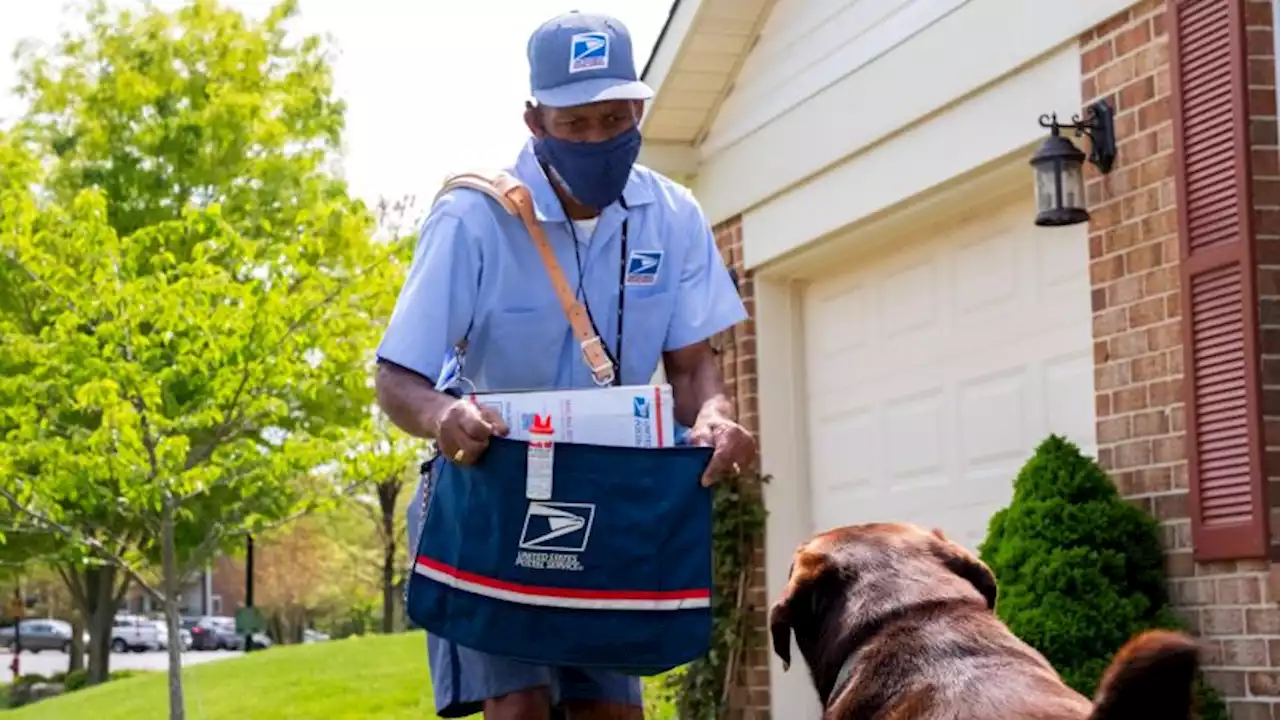 US Postal Service releases national dog bite rankings | CNN