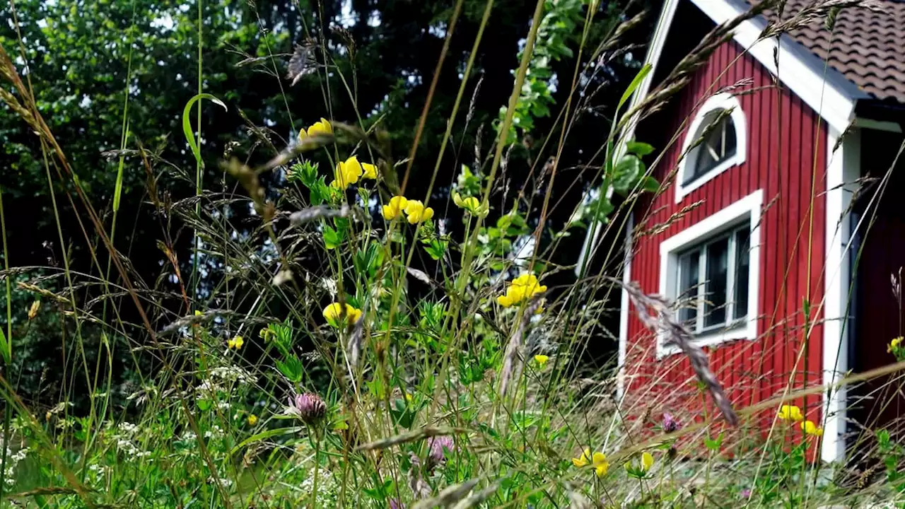 Räkna inte med sommarstiltje på börsen