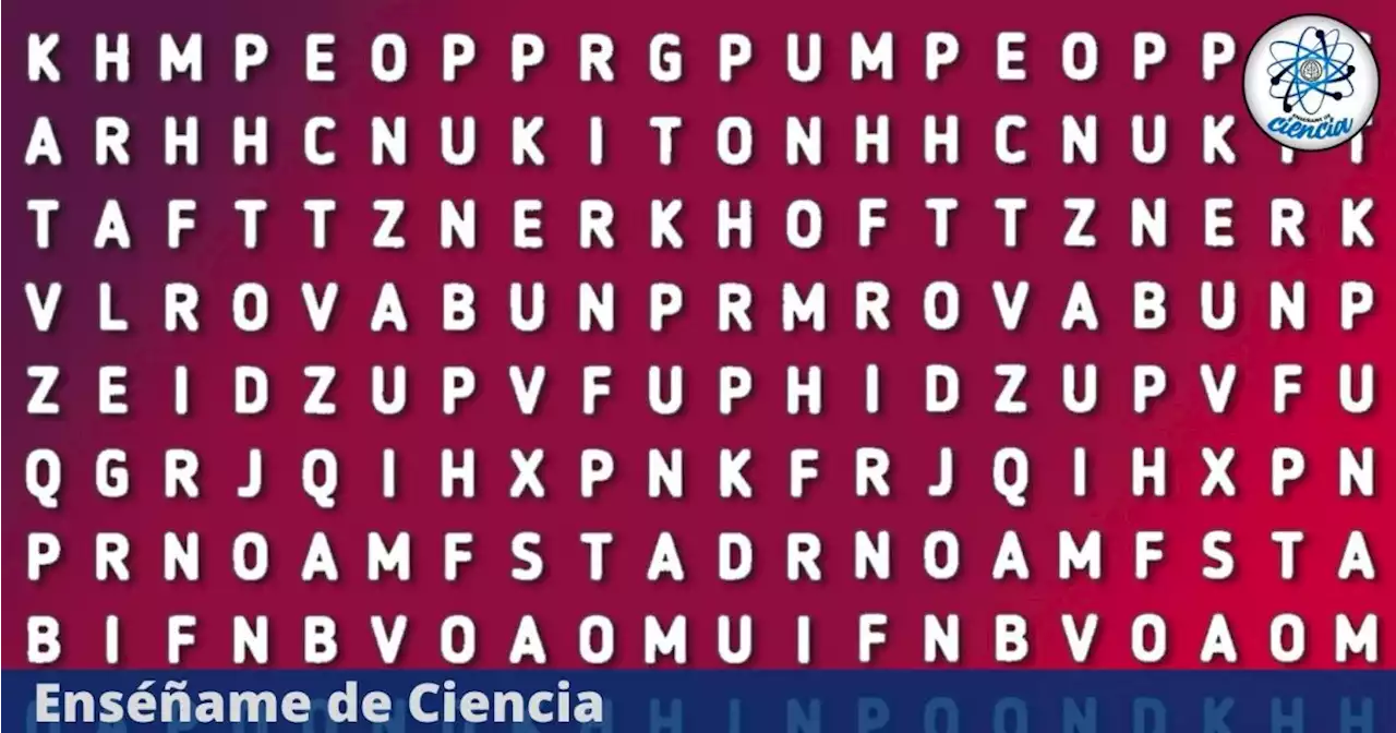 Acertijo visual de la palabra “TOALLA”. Encuéntrala en la sopa de letras en tiempo récord