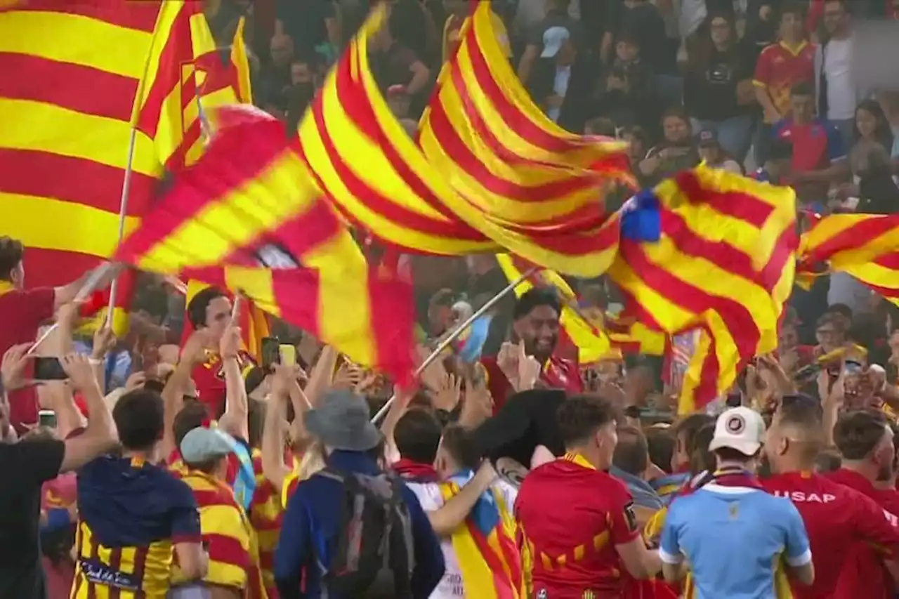 Rugby : 'On revient de loin', l'USAP de Perpignan s'impose dans la douleur à Grenoble et sauve sa place en Top 14