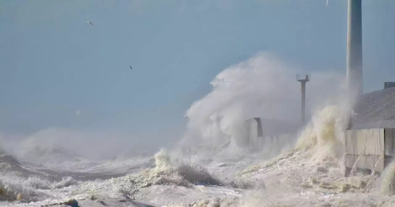 Predecir tsunamis con hasta una hora de anticipación: la NASA lanza el proyecto GUARDIAN