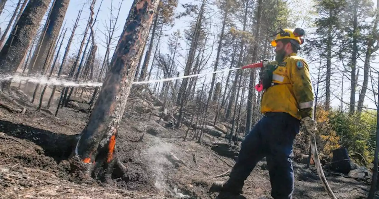 ‘Under control’: Wildfire in the Halifax area 100% contained, officials say | Globalnews.ca