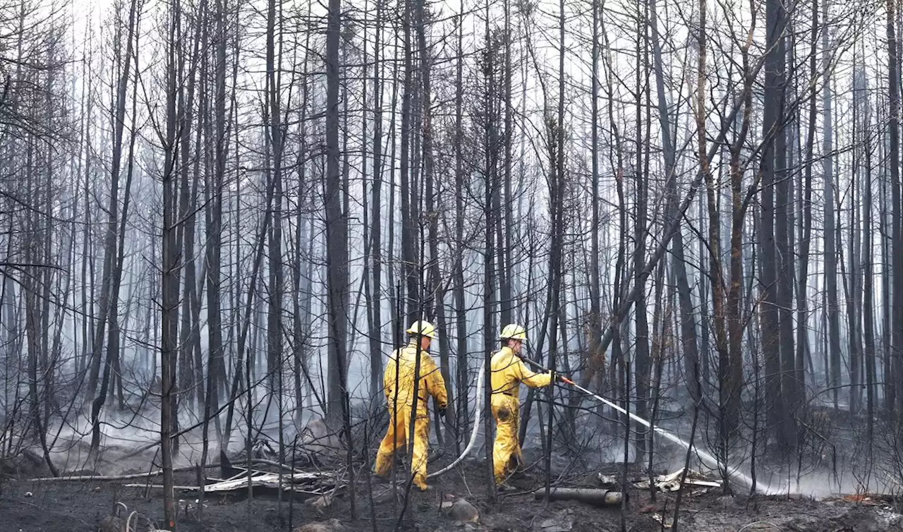 Canadian soldiers, U.S. firefighters join effort in battling Nova Scotia wildfires