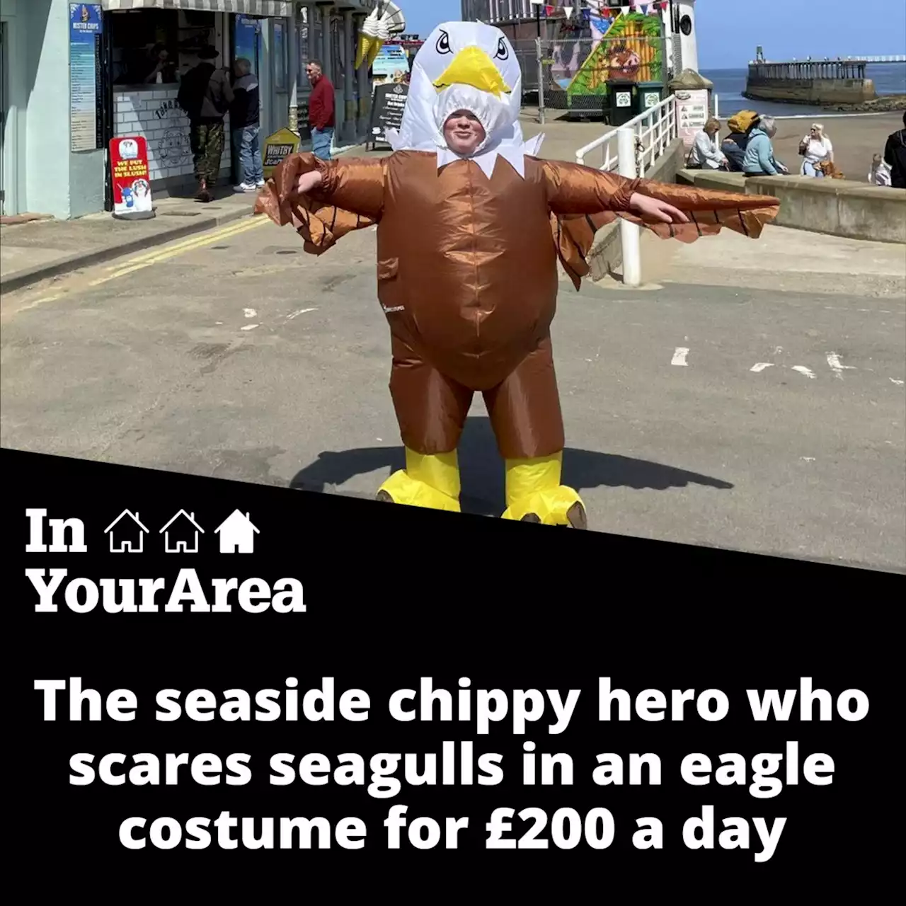 Man dons eagle outfit to scare off chip-stealing seagulls