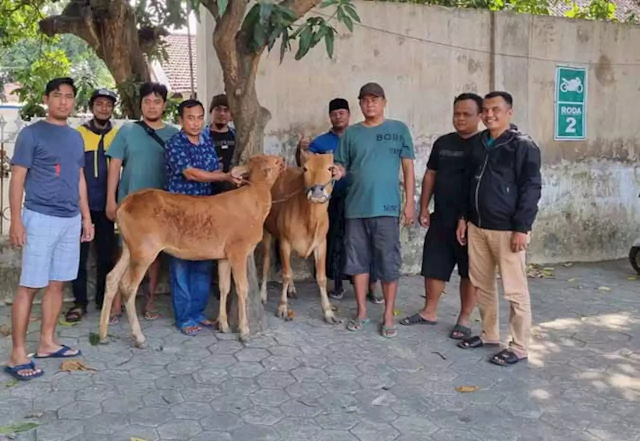 Dua Ekor Sapi Milik Warga Patalan Wonomerto Gagal Dicuri