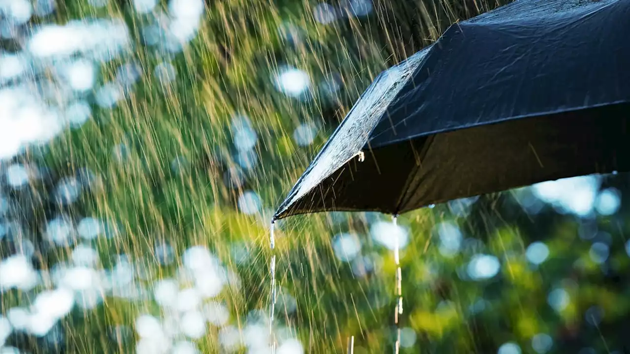 Schirme aufspannen: Regen kehrt ins Land zurück