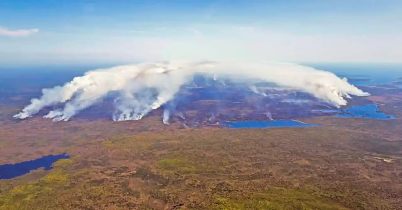 Rain brings much-needed relief to firefighters battling Nova Scotia wildfires