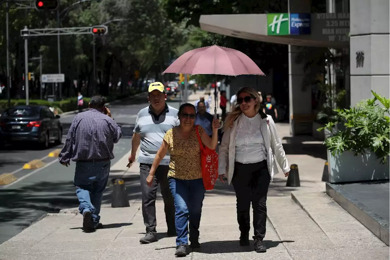 La Jornada: Tercera onda de calor afecta a catorce entidades; temperaturas hasta de 45 o