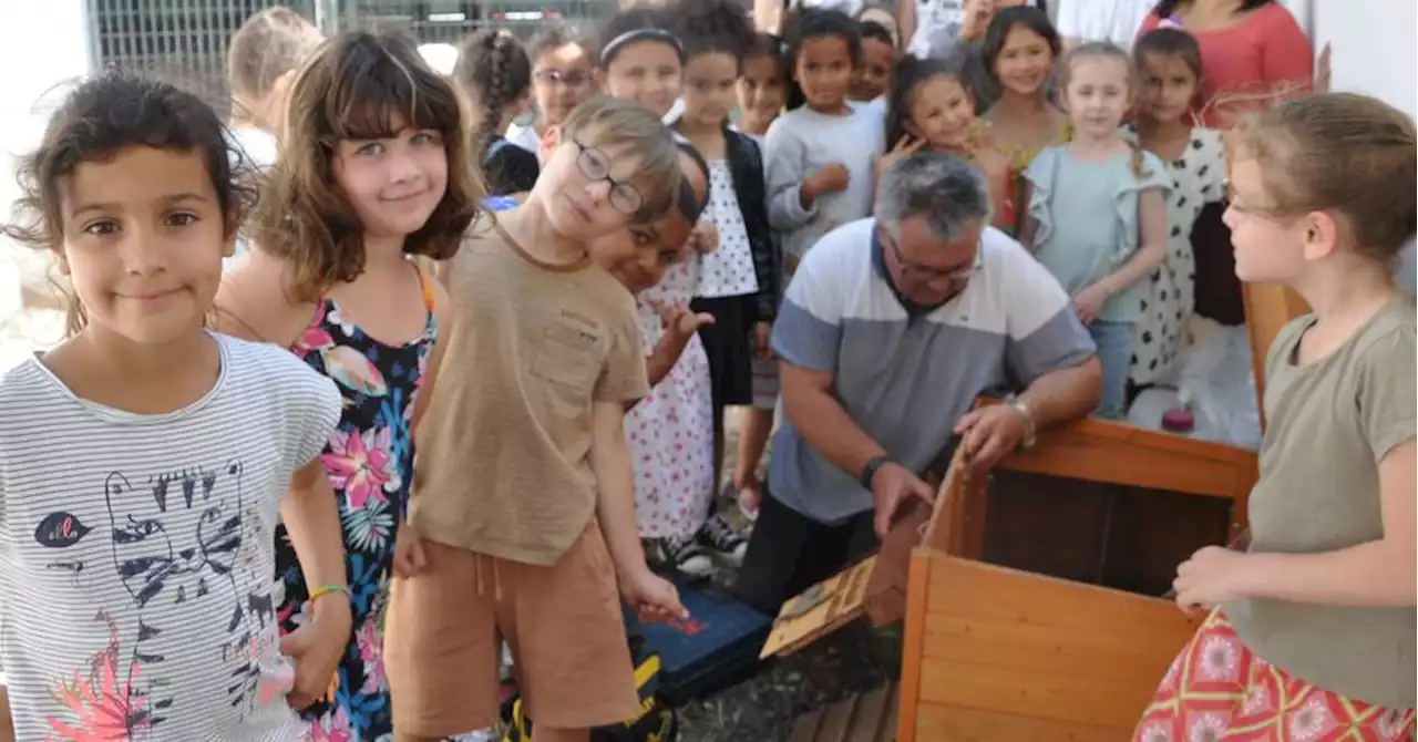 La Ciotat : des lycéens au secours des poules de l'école de l'Abeille