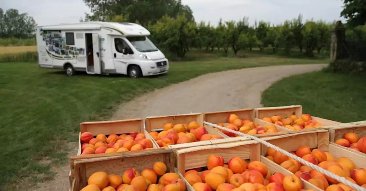 Vaucluse : des vacances en camping-car... à la ferme