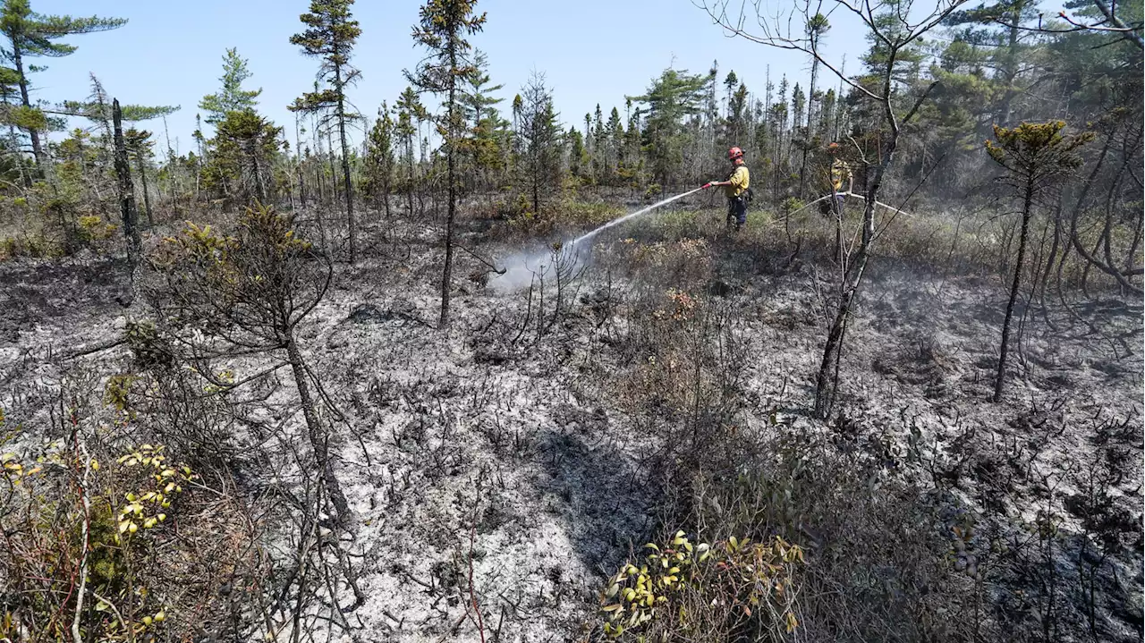 Emmanuel Macron annonce l’envoi de renforts au Canada face aux incendies dévastateurs