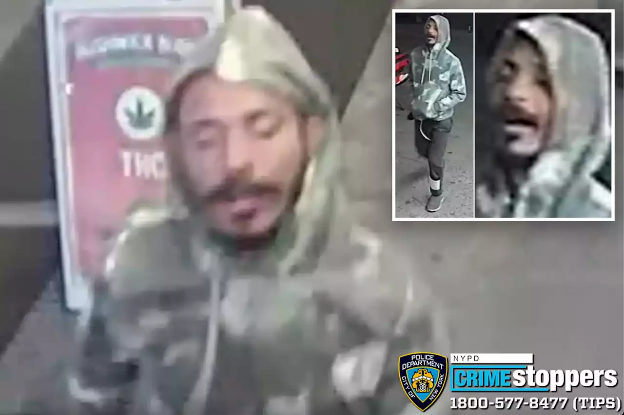 NYPD hunting for man who tried to snatch little girl from mom in Brooklyn