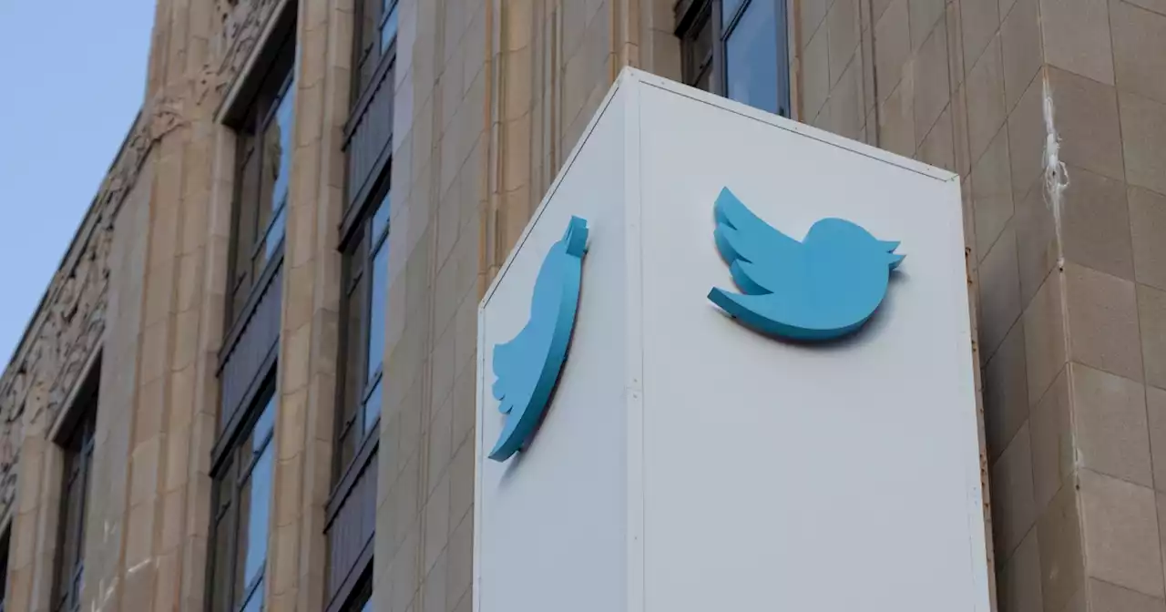 Twitter safety exec quits after anti-trans video strife