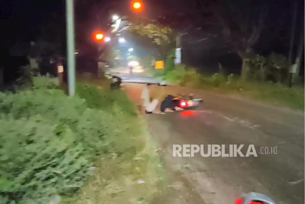 Serangga Lembing Beterbangan di Indramayu, Ganggu Pengguna Jalan |Republika Online