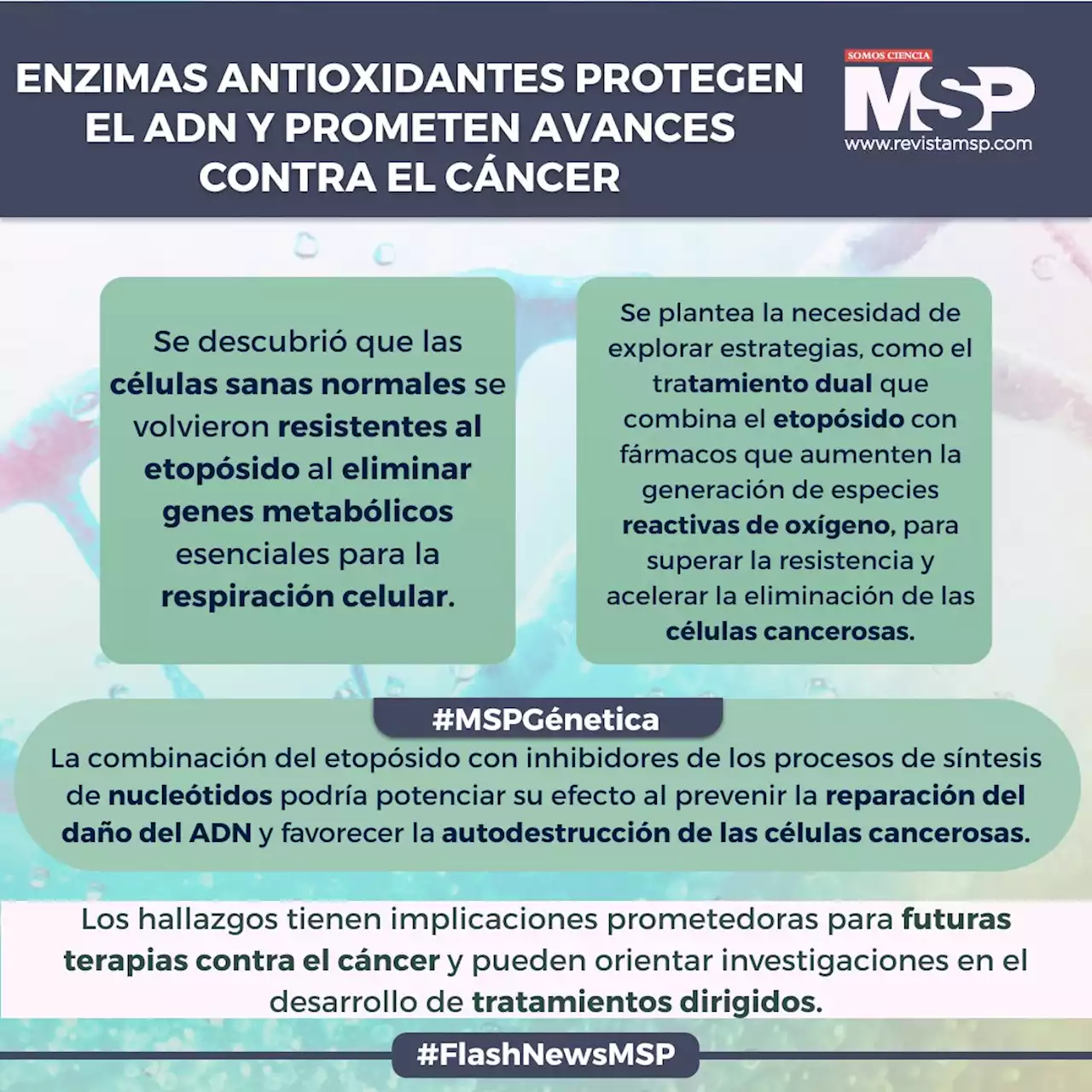 Enzimas antioxidantes protegen el ADN y ofrecen promesas para el cáncer, según estudio