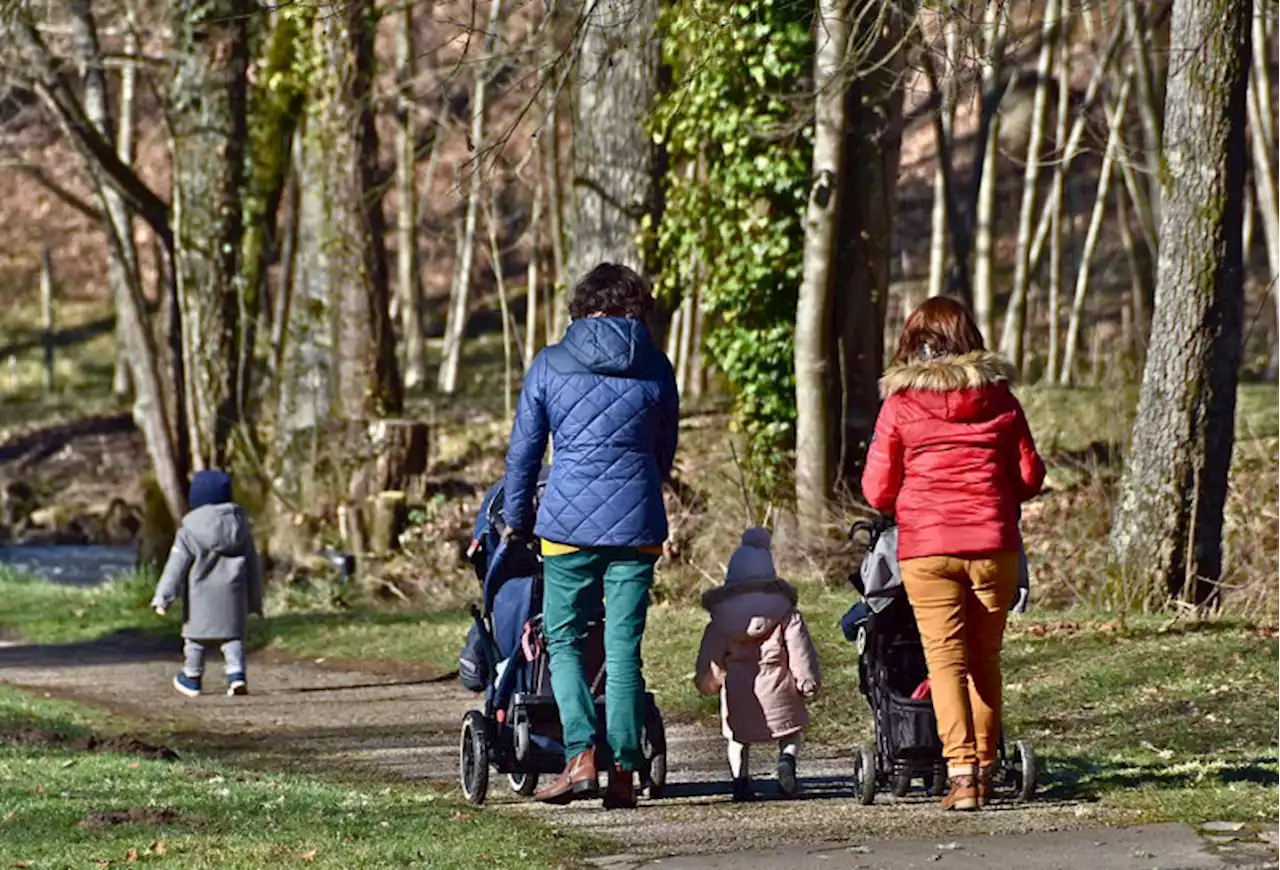 Shropshire’s Great Outdoors survey underway