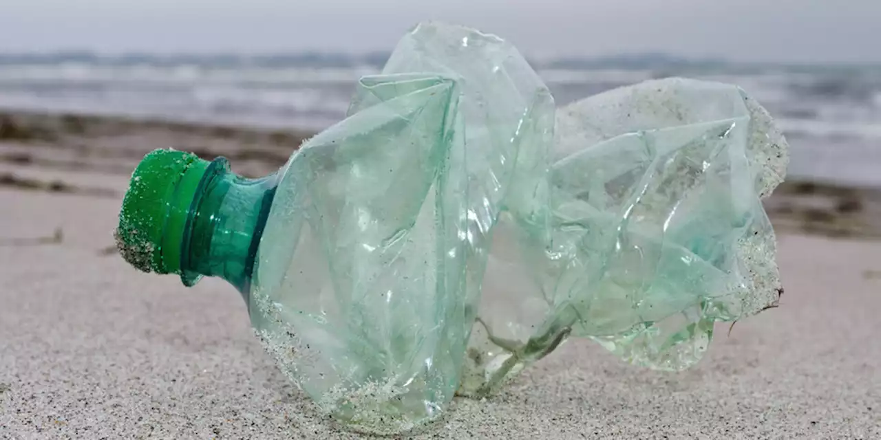 UN-Konferenz zum Plastikmüll: Mächtige Gegner für die Umwelt