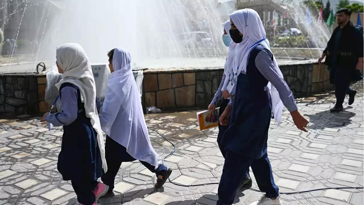 Nearly 80 Afghan Schoolgirls Were Poisoned at School: Official