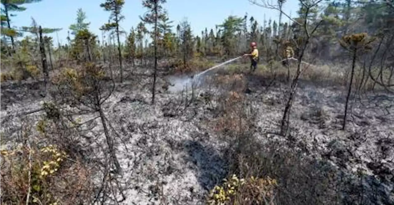 Rain in Canada&#039;s east aids mass firefighting effort