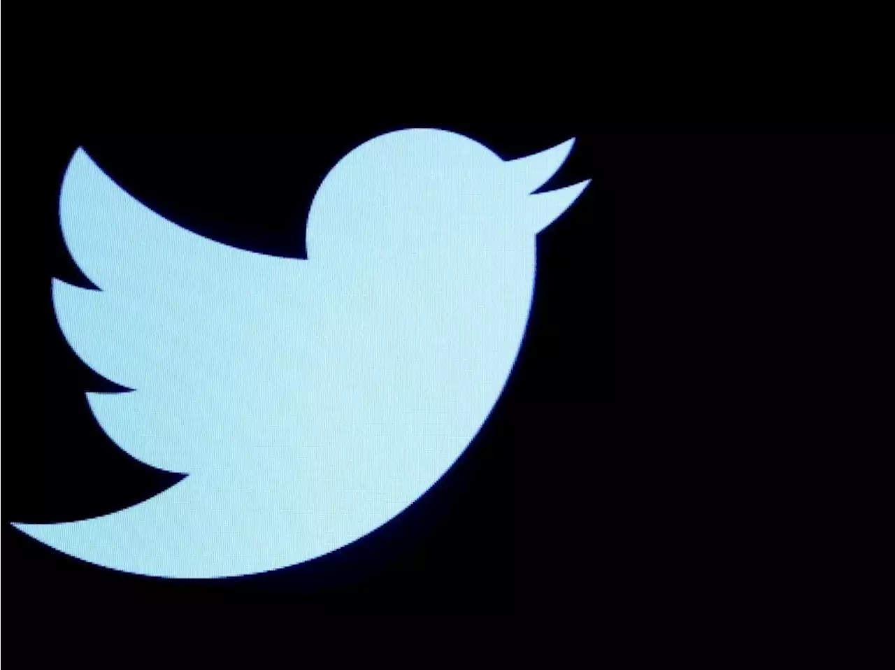 Twitter executive responsible for content safety resigns after Elon Musk criticism