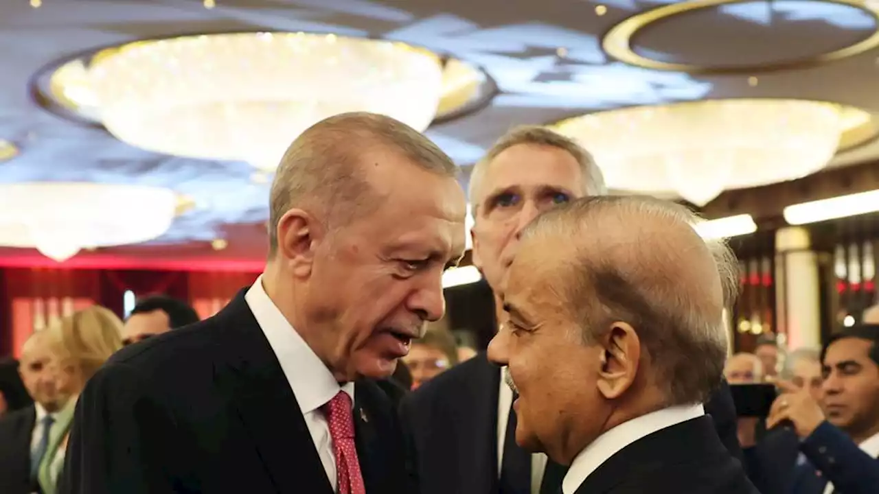 Pakistan's Shehbaz Sharif meets top businesspeople in Türkiye