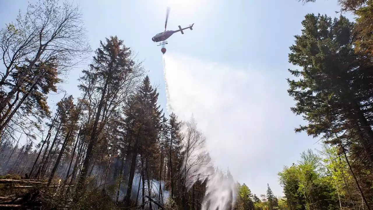 Rain helps Canada firefighters suppress Nova Scotia blazes