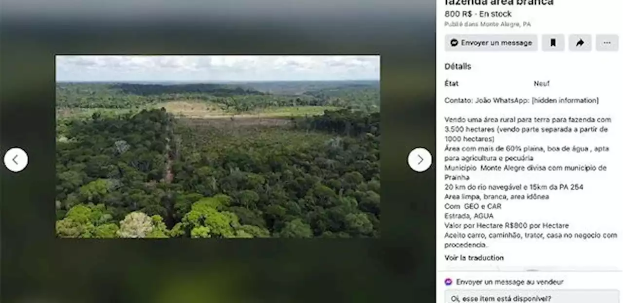 Leonardo Sakamoto - Amazônia é 'queimada' pelo WhatsApp e vendida no Facebook no Sul do Pará