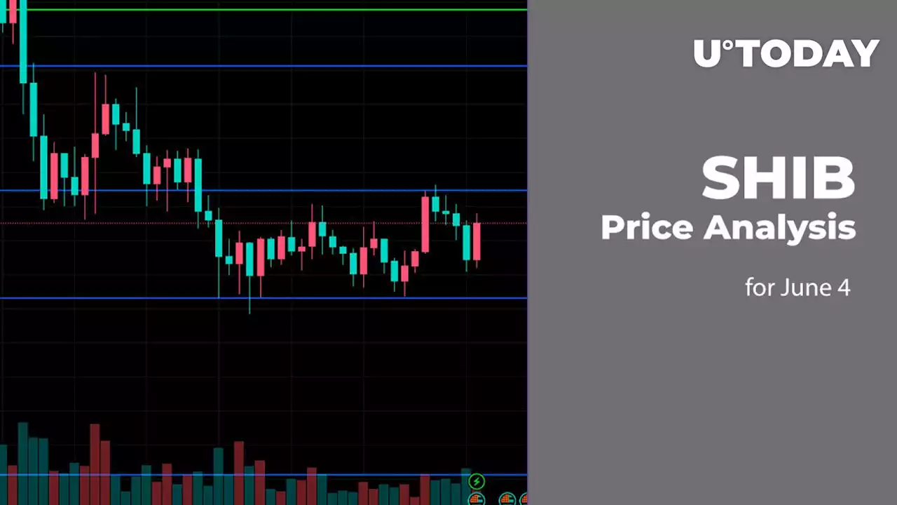 SHIB Price Analysis for June 4