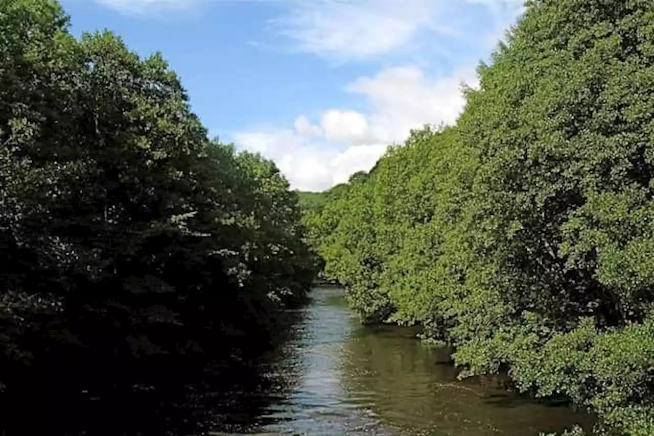 Raw sewage 'equivalent of 317 Olympic pools' dumped into Yorkshire river popular with bathers