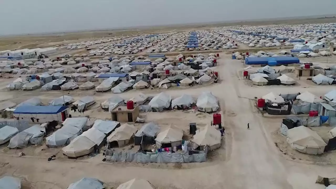 Families take legal action to compel the government to repatriate them from Syrian camp