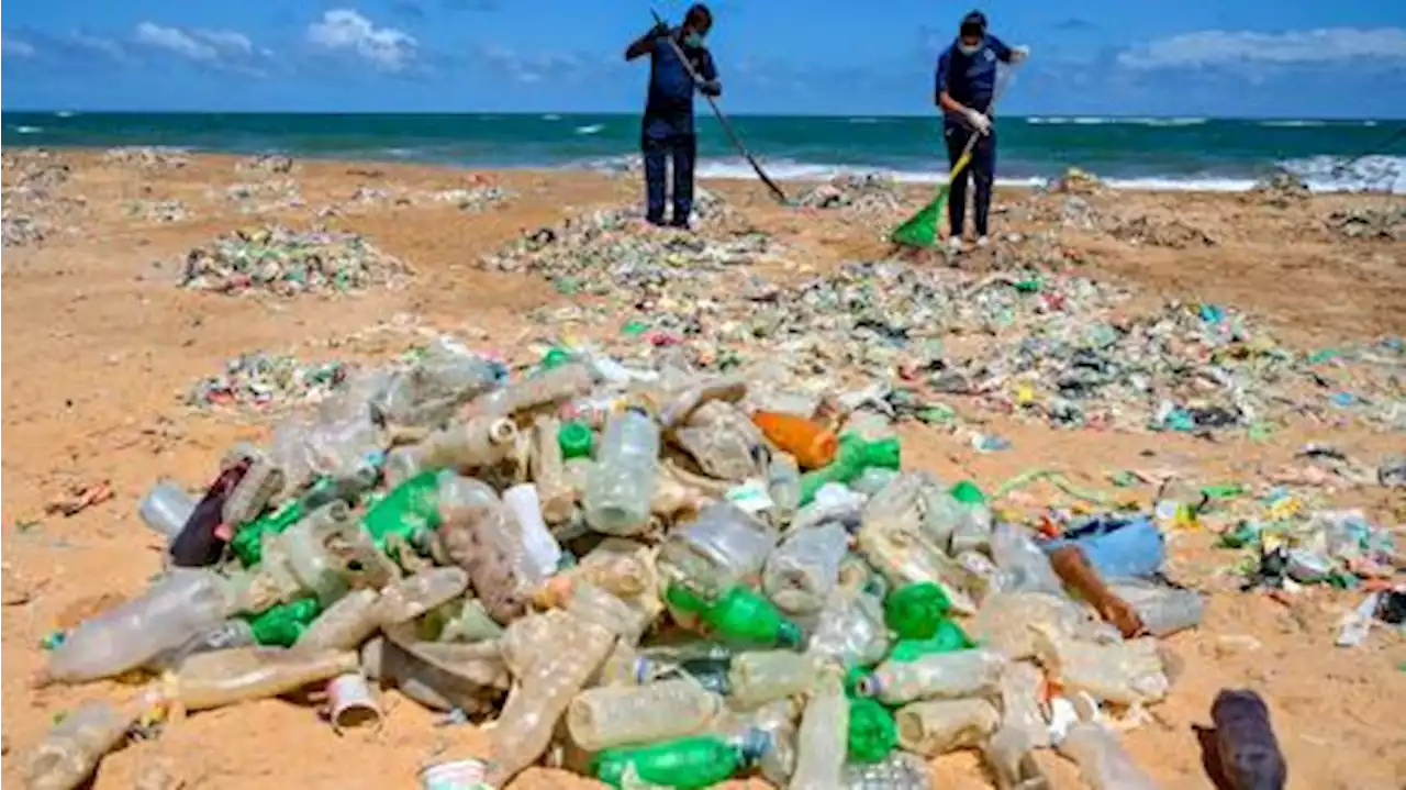 En el Día del Medio Ambiente, los expertos coinciden en que 'no hay nada que festejar'