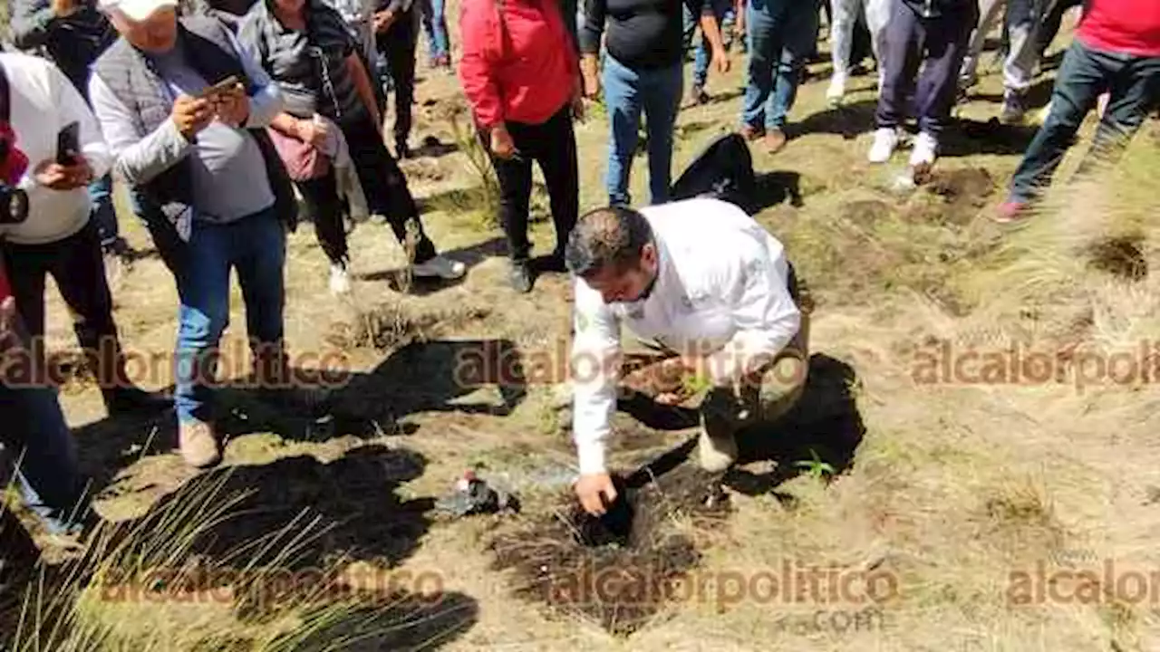 Plantan mil 800 pinos en el Parque Nacional Pico de Orizaba