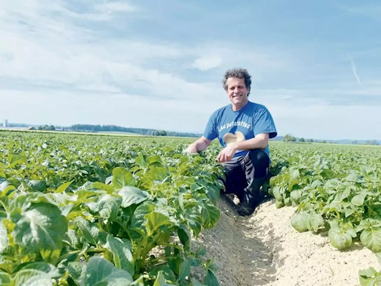 «Ich mache mir grosse Gedanken über die Anbaubereitschaft», sagt Ruedi Fischer, Präsident der Kartoffelproduzenten - bauernzeitung.ch