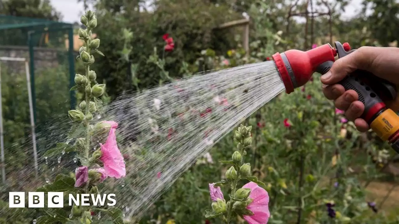 Don't waste water on grass, urges Scottish Water