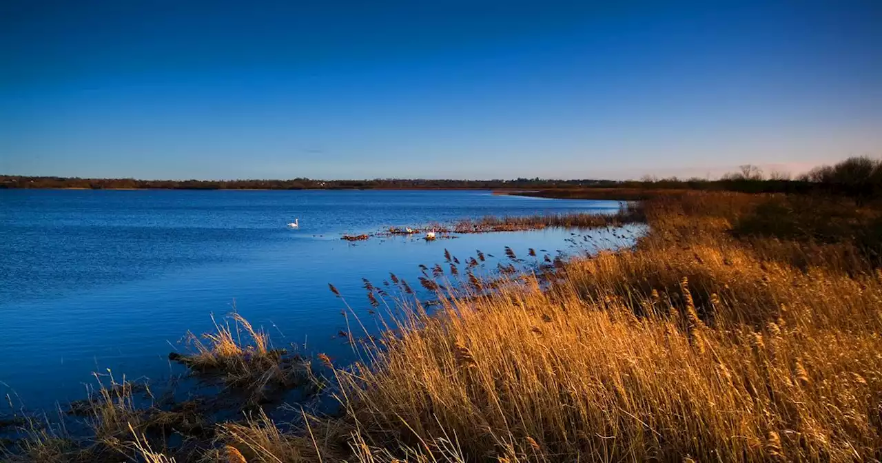 Green Party's concerns at ‘200,000 tonnes of raw sewage’ in Lough Neagh