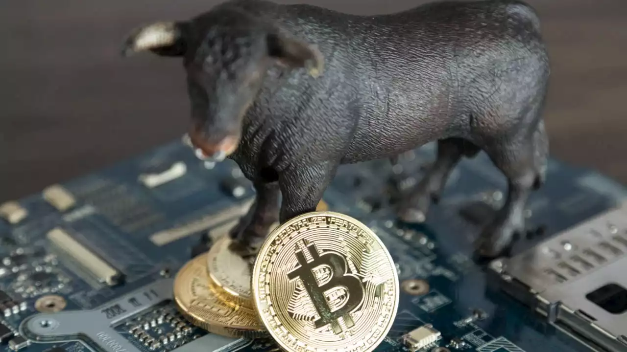 Former Bitmex CEO Arthur Hayes Predicts Bitcoin Bull Market as US Economy Worsens – Bitcoin News