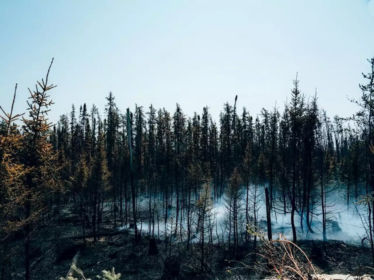 Thousands of Quebecers evacuated from their homes as forest fires rage