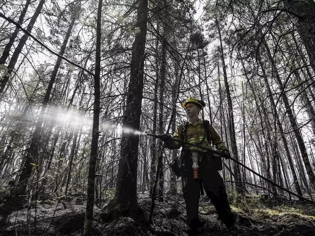 Wildfire risk remains well above average across Canada this month