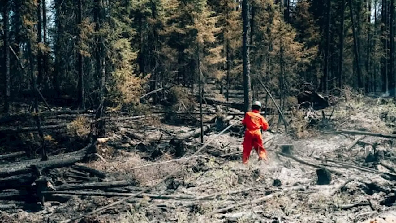 Massive forest fires are coating much of Quebec in haze and smoke | CBC News