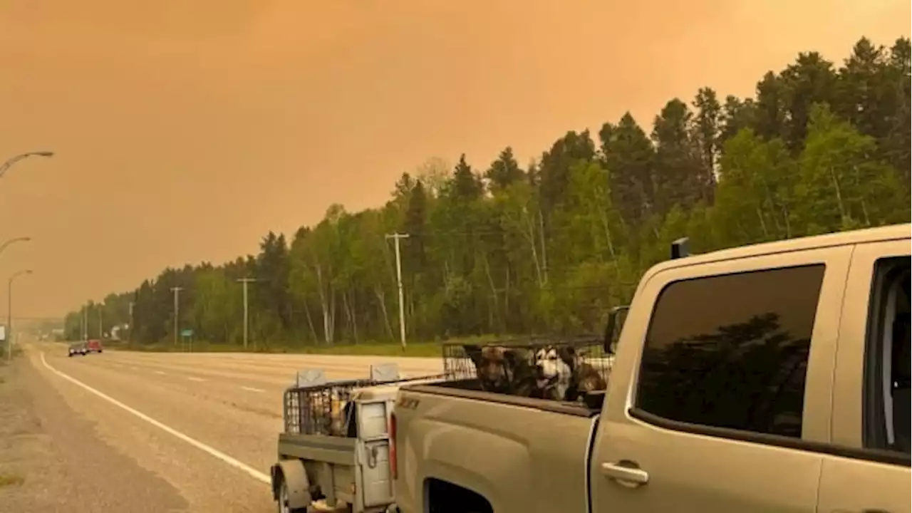 Quebec fire authorities say they're unable to bring all fires under control | CBC News