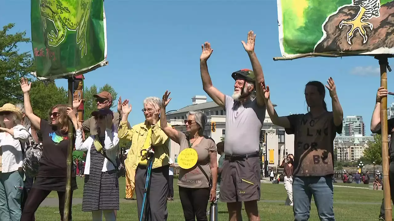 More than 100 rally at BC Legislature for old-growth forests