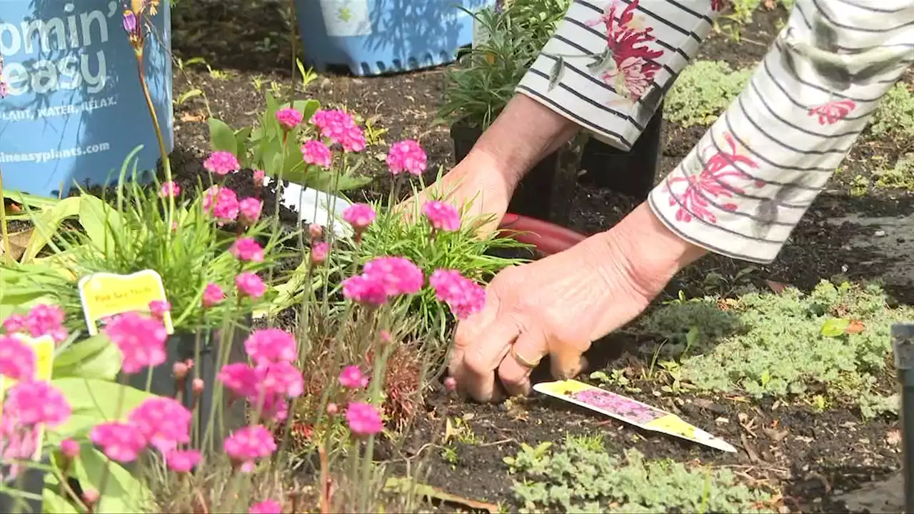 Vital People: Victoria Hospice Teeny Tiny Garden Tour June 11th