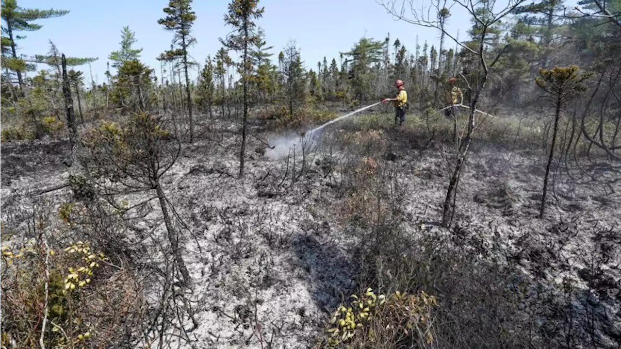 Lage in kanadischen Waldbrand-Gebieten entspannt sich leicht