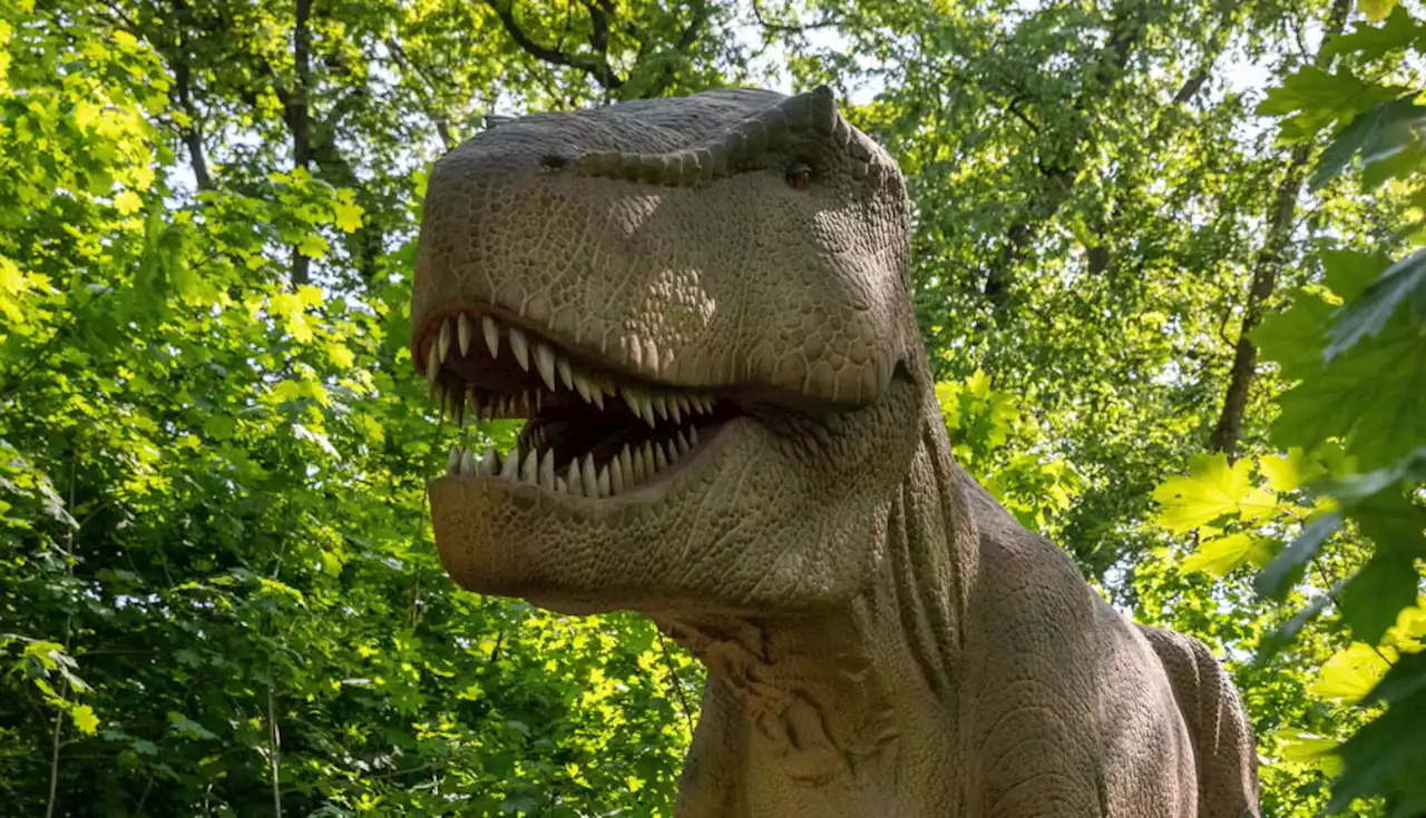 Tickets für Jurassic Park in Berlin zu gewinnen