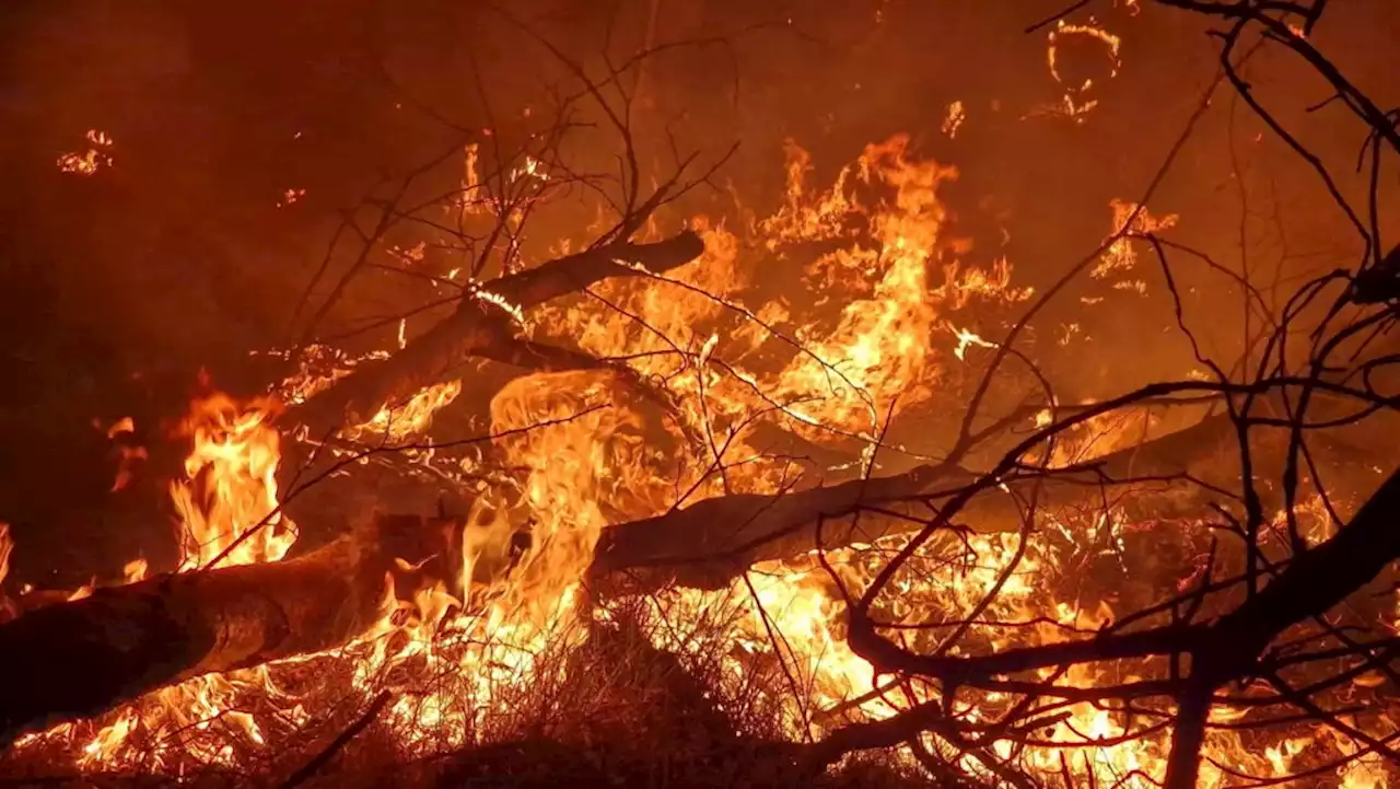 Waldbrand bei Jüterbog noch einmal größer geworden