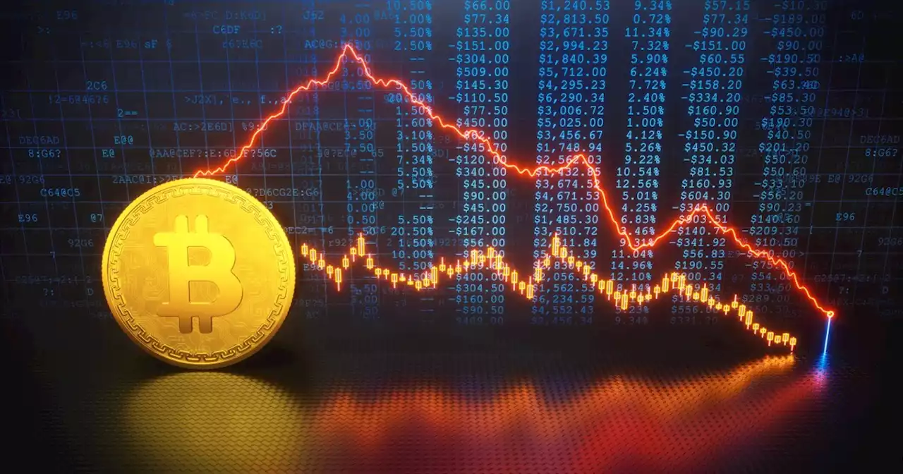 Bitcoin crashes to lowest in months after SEC sues world’s largest crypto exchange